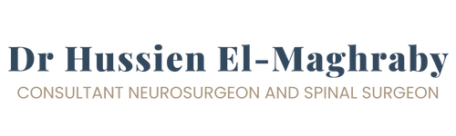 Dr Hussien El-Maghraby